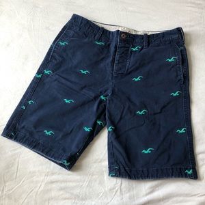 Hollister Abercrombie & Fitch Blue Mens 30 Embroidered Birds Chinos NWOT